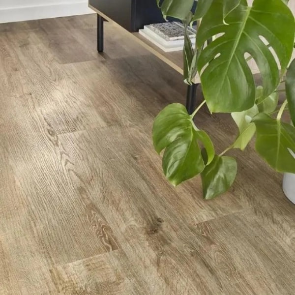 Vinylboden mit Trittschalldämmung Eiche Cornwall (CBCA 41622) 5.3mm/0.3mm - Klick Vinyl