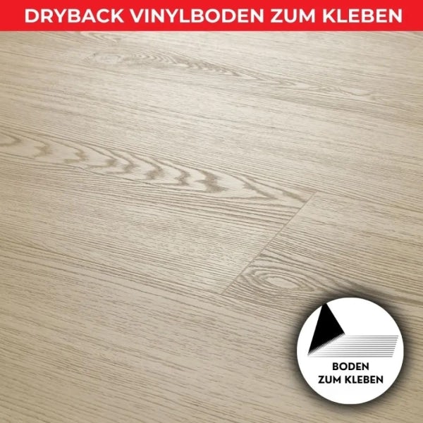 Vinylboden zum Kleben - SALV Eiche - 2,5mm/0,55mm