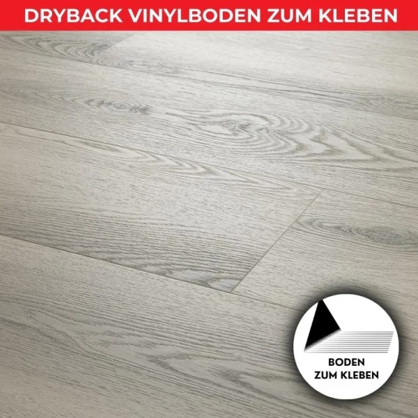 Vinylboden zum Kleben - SHINE Eiche - 2,5mm/0,55mm